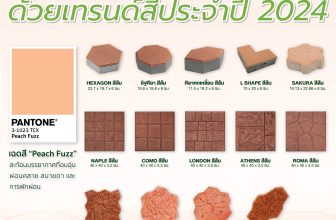 Peach Fuzz Color of the Year 2024 ตกแต่งพื้นสวนให้สวย ด้วยเทรนด์สีประจำปี 2024